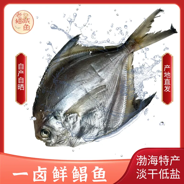 龙口特产一卤鲜鲳鱼当季新晒淡干低盐去头去内脏