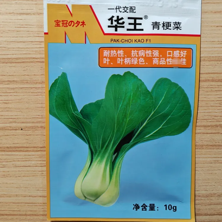 华王青梗菜种子3袋 蔬菜种子 口感好 品质佳 每袋10克 鼎旺种业
