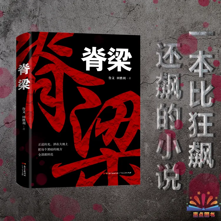 脊梁 正能量反腐官场小说电视剧脊梁小说GDRM