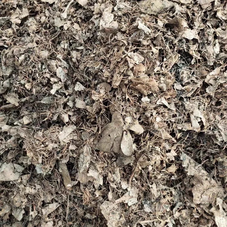 君子兰专用花土，腐叶土，5.斤，养殖，养兰