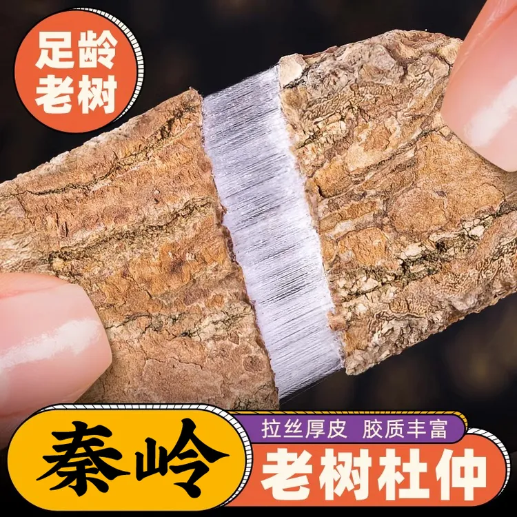精选秦岭老树杜仲新货去粗皮可搭配熟地丝子煮水煲汤泡水喝泡酒