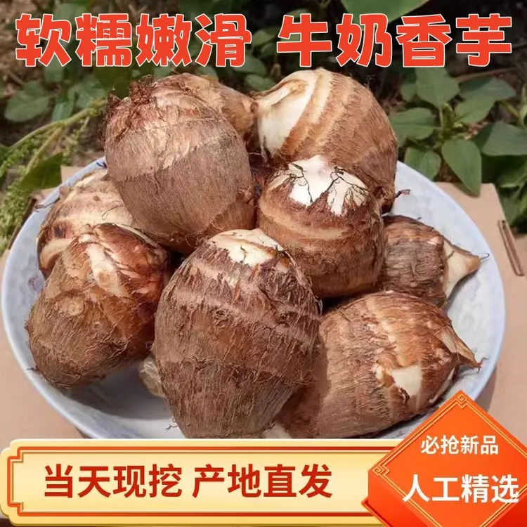 双11现挖牛奶香芋毛芋头毛薯芋艿芋软糯农家自种产地直发坏果包赔