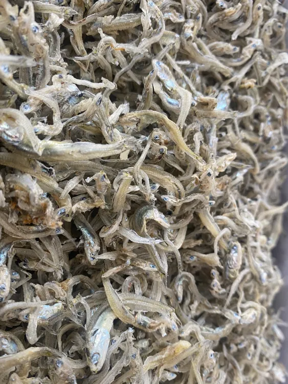 福建丁香鱼一斤装