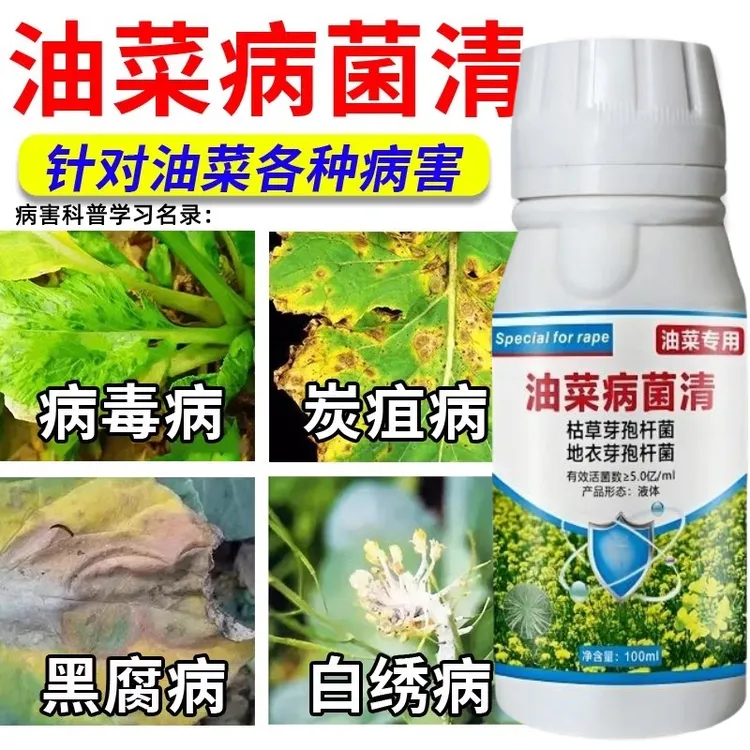 油菜菌核病专用药油菜病菌清微生物菌剂病毒病猝倒病白斑病叶面肥