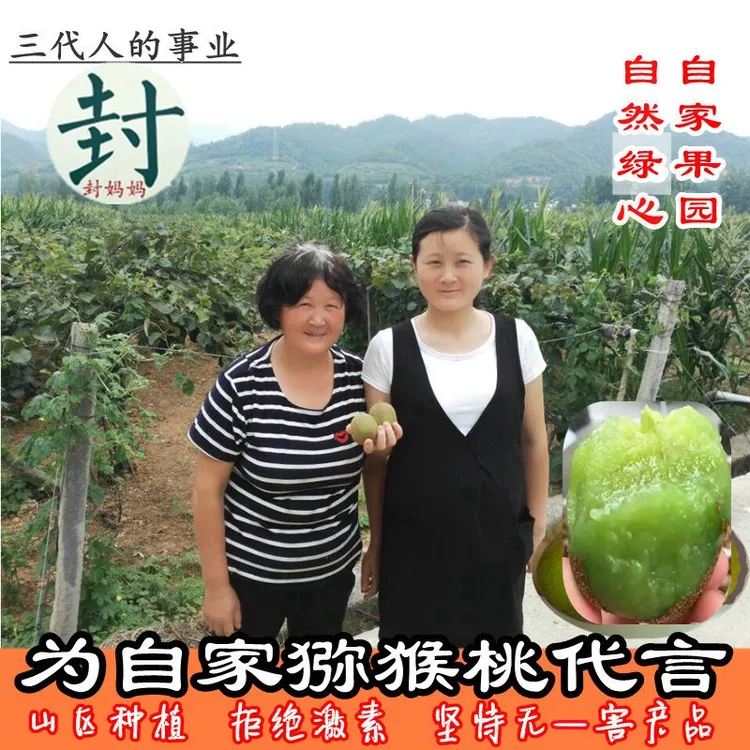 绿心猕猴桃徐香 河南西峡现摘现发新鲜非礼盒农家自产西峡奇异5斤