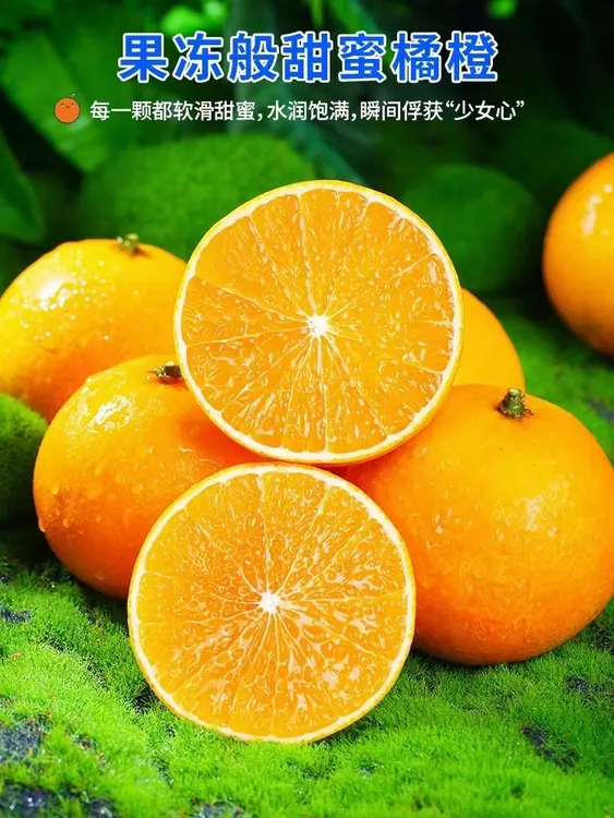 清江九月红果冻橙原产地发货现摘现发十斤装包邮应季水果
