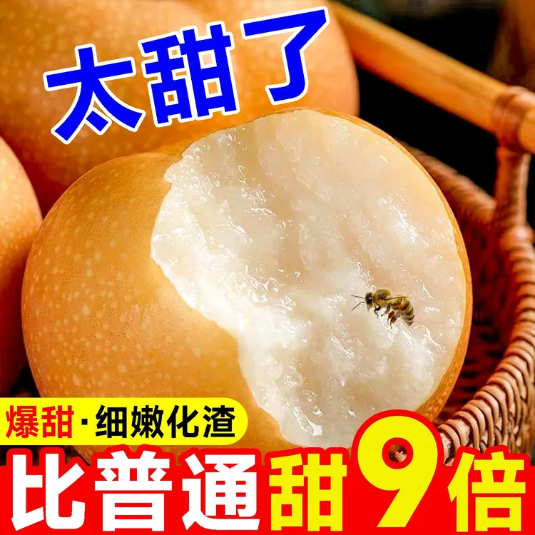 正宗湖北砂梨爆甜多汁新鲜应季梨子现摘现发蜜梨非秋月梨5/10斤