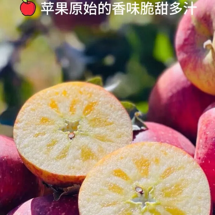 大凉山盐源糖心丑苹果，高山高海拔种植，新鲜采摘发货