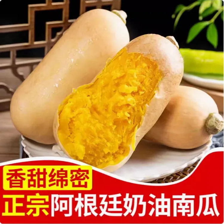正宗秦岭山阿根廷奶油南瓜口感软糯香甜当季小南瓜净重5斤包邮