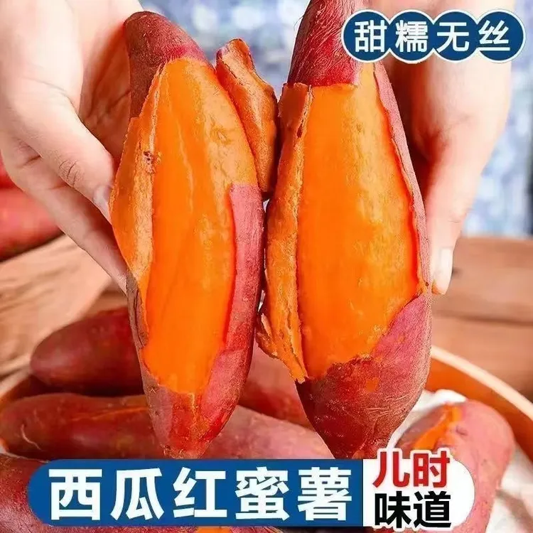 【小豪专属】河南兰考沙地正宗西瓜红烤蜜薯（5斤装)红薯软糯香甜红薯原产地