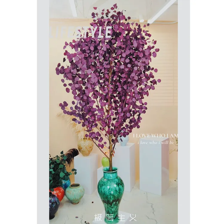 Hi~我是【高1.9-2米】春节爆款花永生花苹果尤加利永生花~