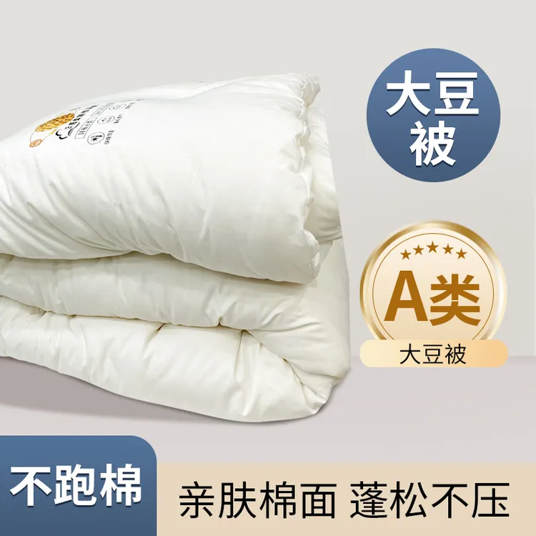 漏泽春大豆纤维被单人双人加厚保暖柔软舒适多种规格被芯四季通用