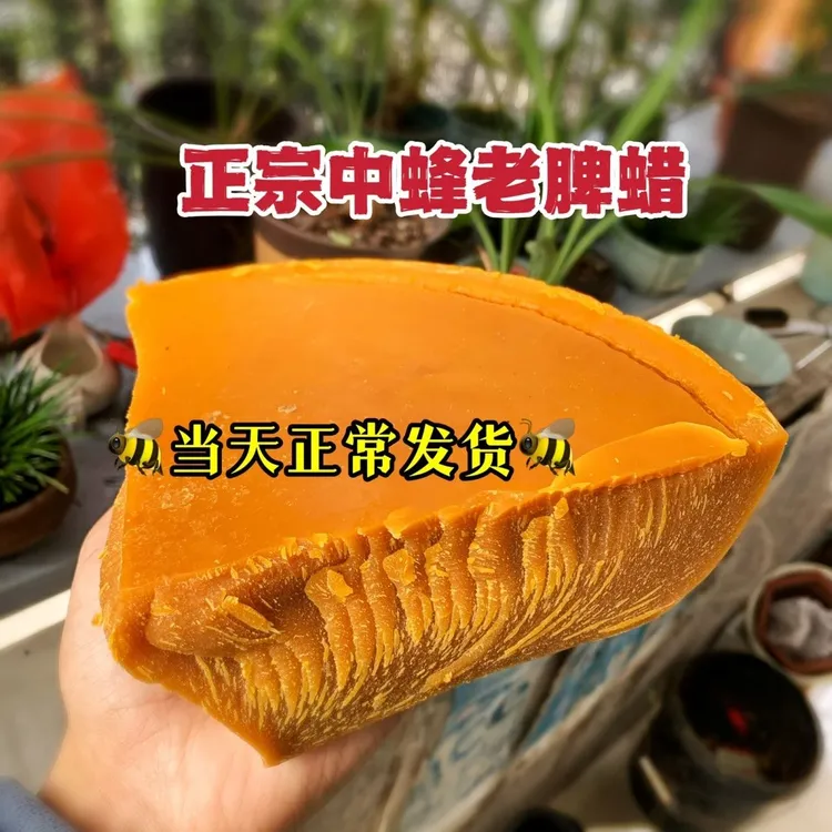 【诱蜂专用蜂蜡】诱蜂蜡纯正诱中蜂蜡老巢脾蜂蜡土蜂蜡