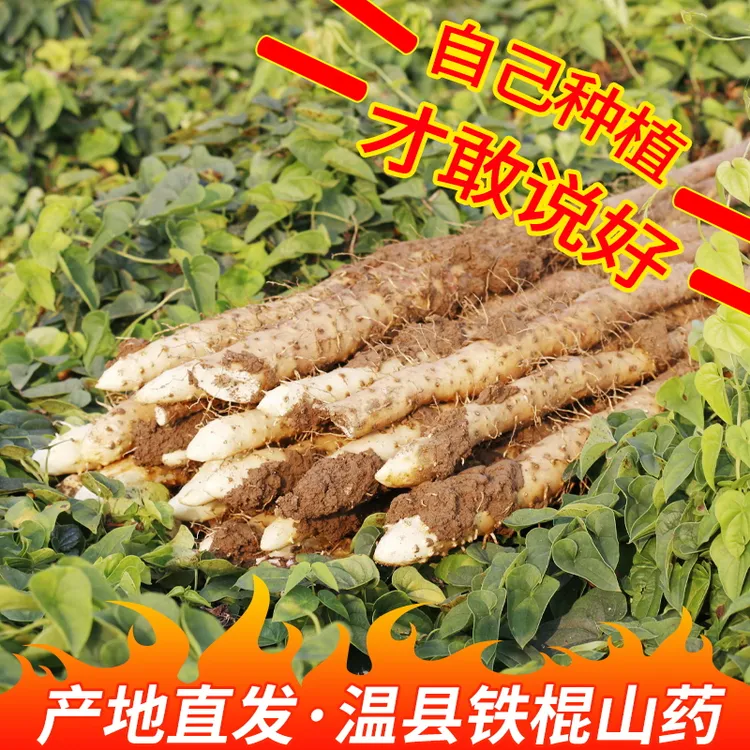 河南焦作温县垆土铁棍山药怀山药新鲜5斤装特产