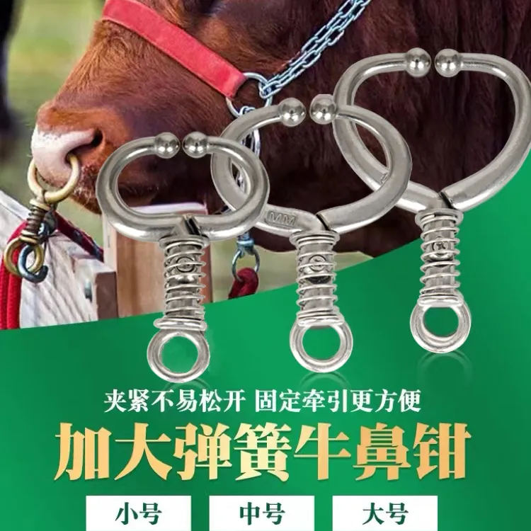 牵牛牛鼻环永不脱落免打孔优选弹簧牛鼻钳不锈钢栓牛牛狗项圈脖套