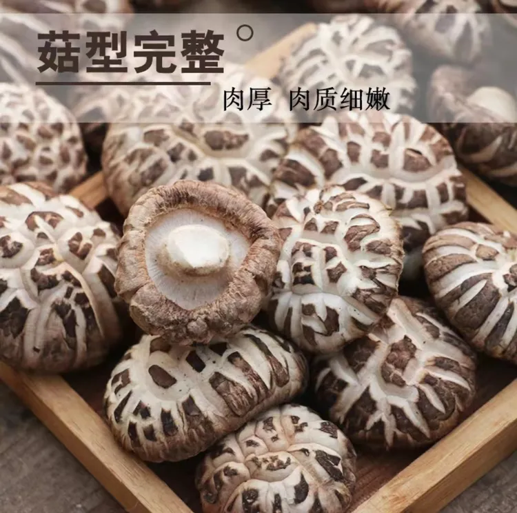 农家自晒花菇柄短煲汤煲肉炒饭漂亮的小花菇大花菇