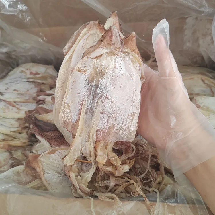 寄顺丰广东本港甲子半干鱿鱼干煎煮炒炸火锅每斤大约18到23条新鲜