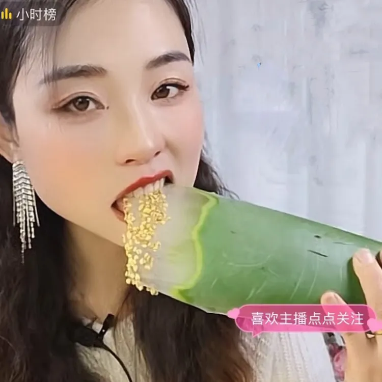 食用芦荟生吃库拉索叶片多肉绿色盆栽园艺花卉苗木栽培盆景苗观赏