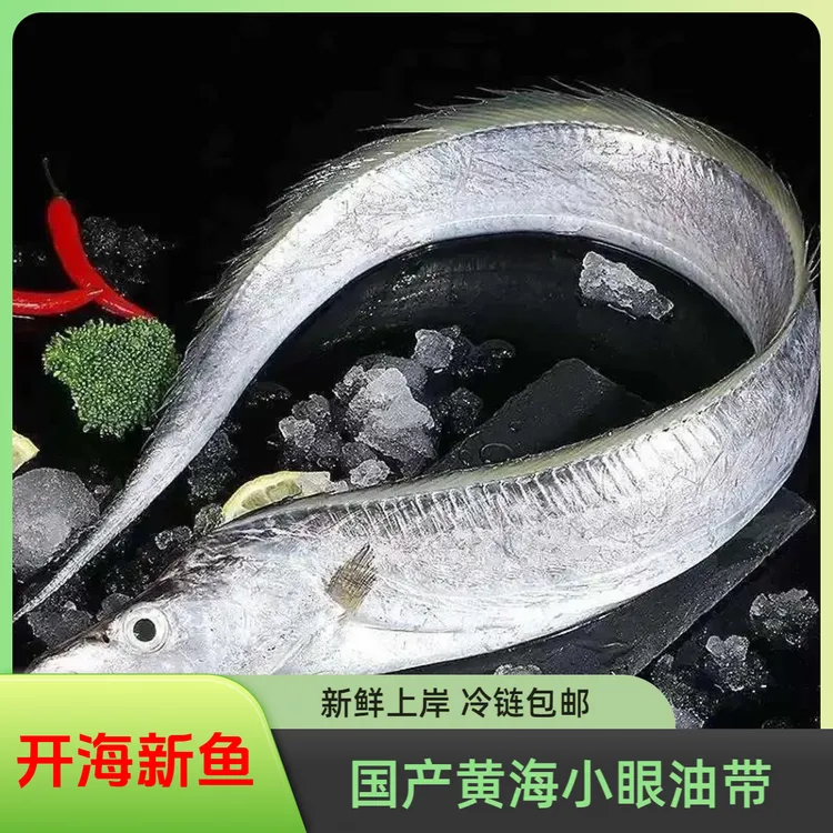 【国产精品】新开海新鲜小眼油脂带深海捕捞单条单冻顺丰京东包邮