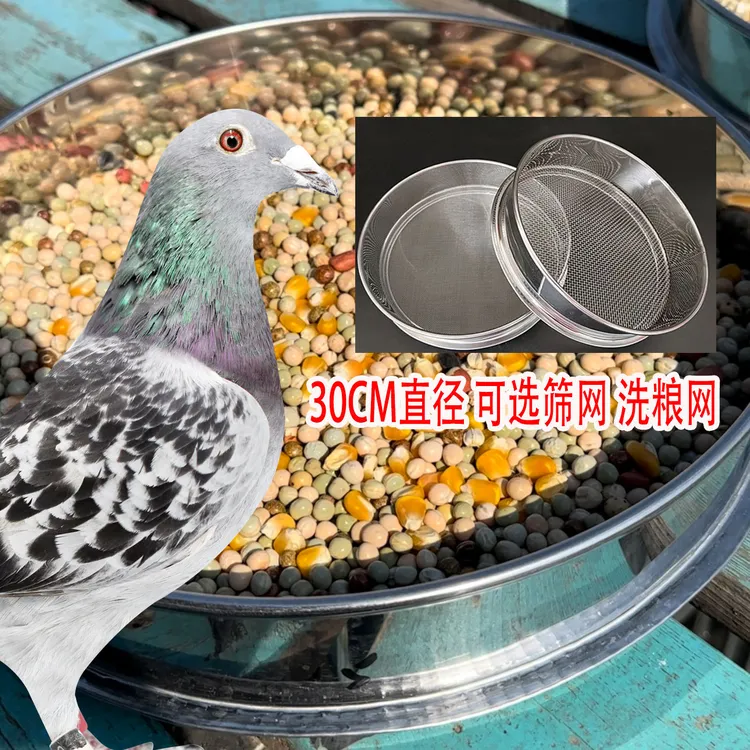 鸽粮分粮筛洗粮筛筛网30Cm直径鸽子信鸽赛鸽用品鸽子幼鸽撑嗉