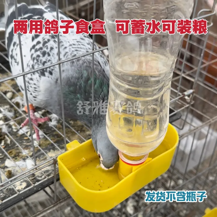 鸽子饮水盒蓄水器鸟类宠物饮水导水盒信鸽赛鸽饮水器信鸽漏水器