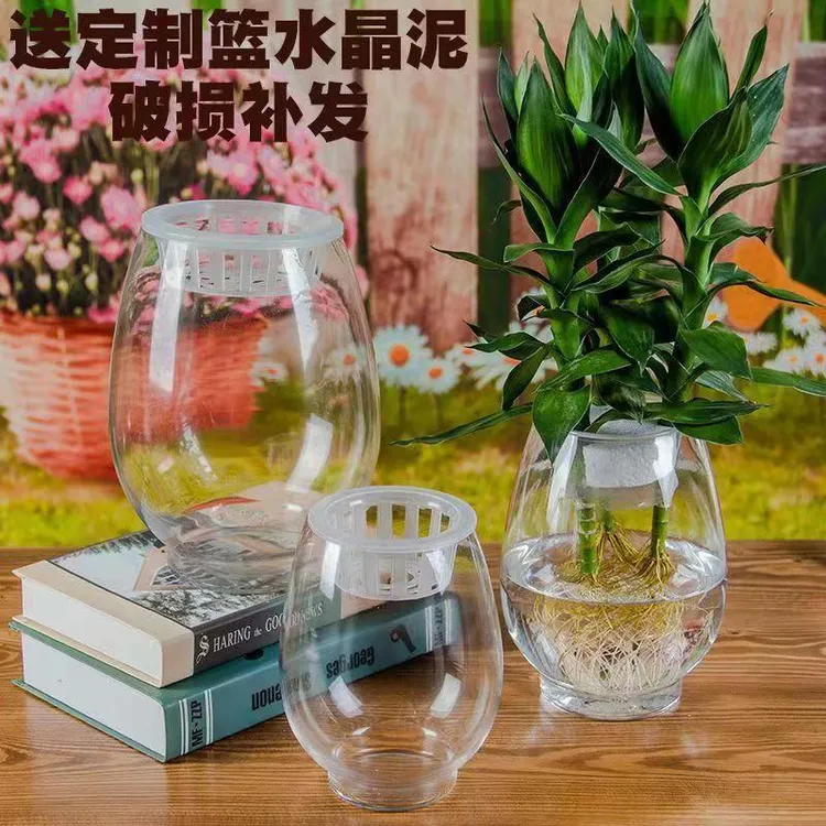 恐龙蛋鱼缸家用超厚观音竹水培花瓶绿萝塑料瓶水培立柱容器植物瓶