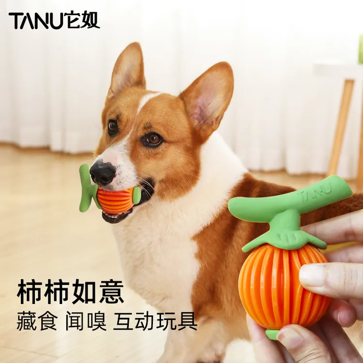 TANU环保TPR乳胶玩具小狗狗训练中小型犬耐咬磨牙解闷藏食狗玩具