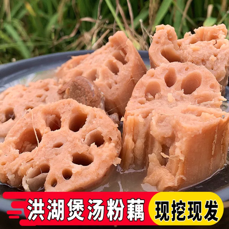 正宗湖北洪湖莲藕新鲜粉藕现挖农家特产煲汤莲藕带泥红藕