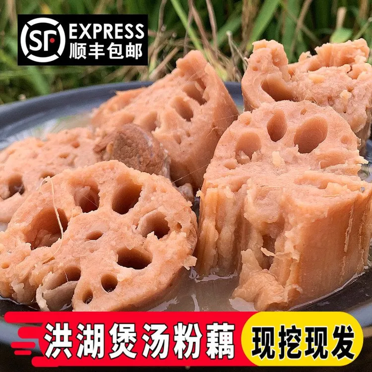 正宗湖北洪湖莲藕新鲜粉藕现挖农家特产煲汤莲藕带泥红藕顺丰包邮