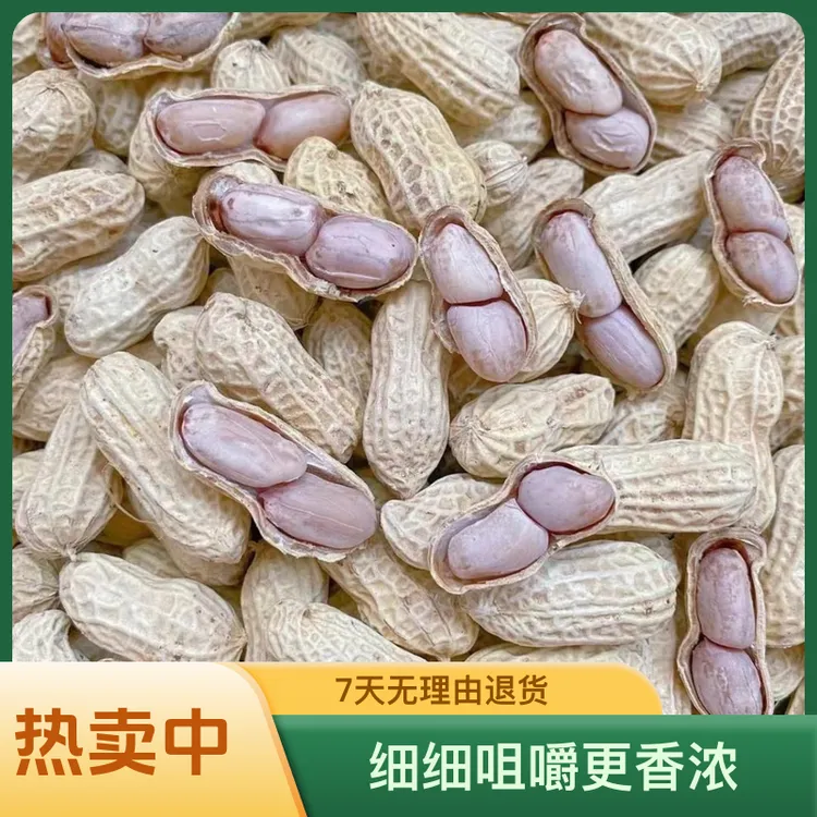 25年新果客家正宗水煮咸干花生坚果零食独立包装包邮