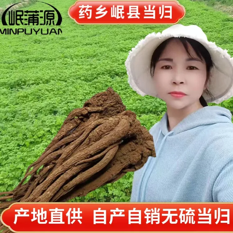 【当归十支归】岷县种植食用250克当归煲汤（额外送250克大枣）