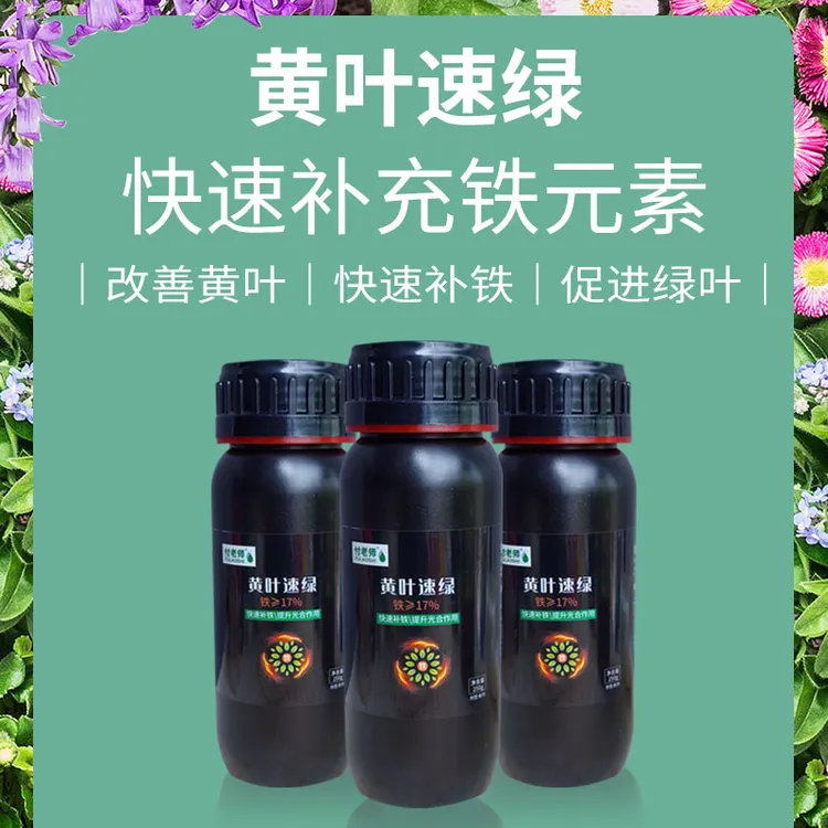 黄叶速绿快速补充铁元素根系铁肥