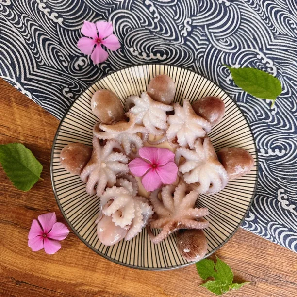 北部湾八爪鱼新鲜速冻章鱼顺丰京东发货