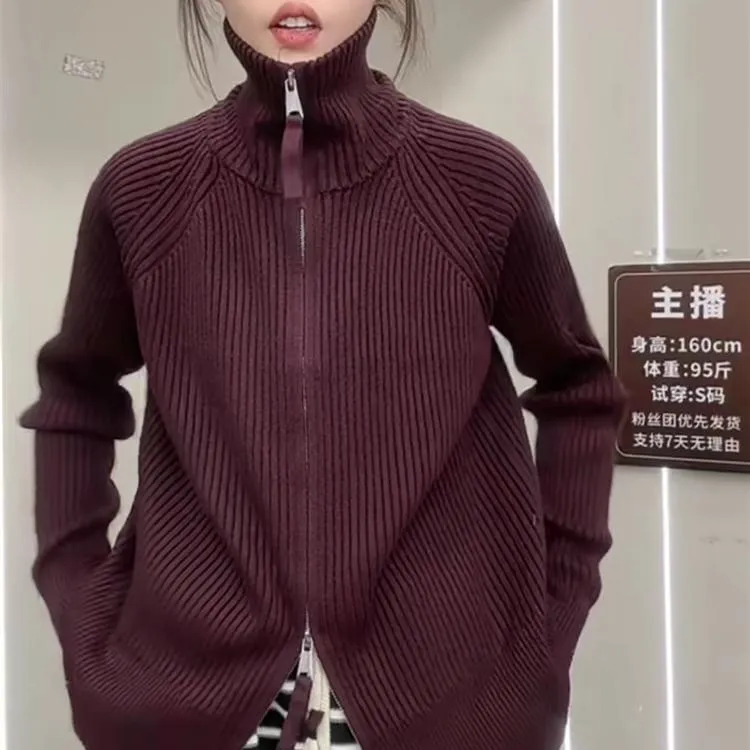 双拉链设计感纯色长袖立领针织衫女休闲风减龄上衣秋冬款百搭毛衣