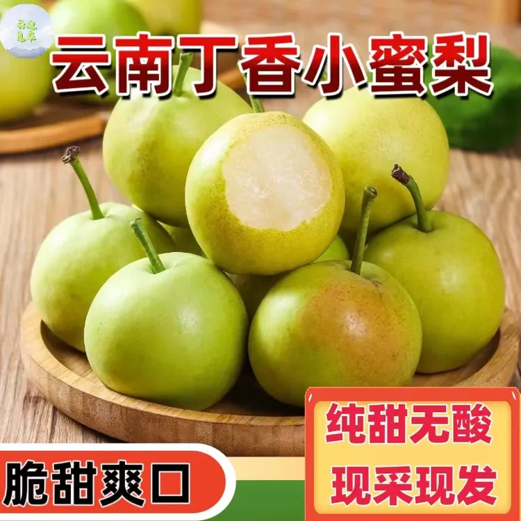 【正宗】云南早白蜜梨丁香梨5斤新鲜脆甜多汁肉厚自然成熟非翠玉梨