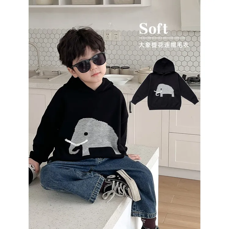 儿童24春款洋气宝宝针织衫韩版大象提花连帽男童毛衣潮