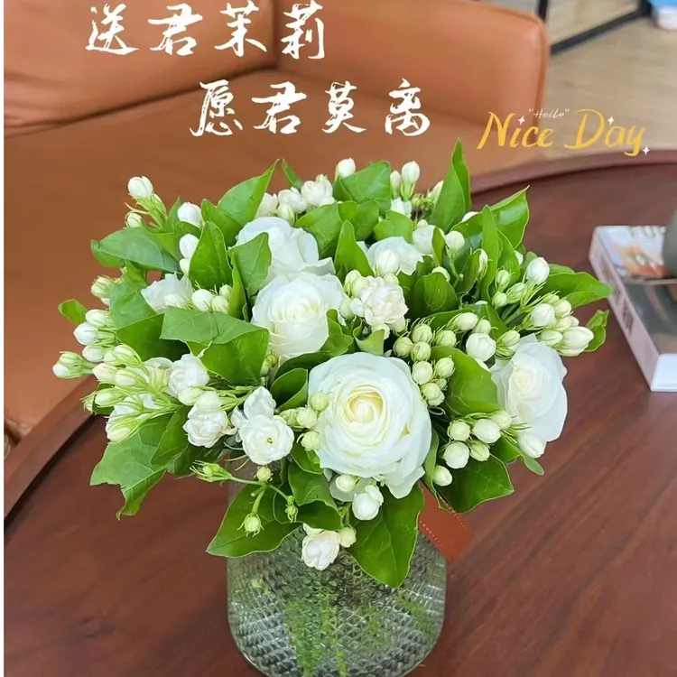 12-白玫瑰加茉莉花浮利套餐愿君莫离可送男士