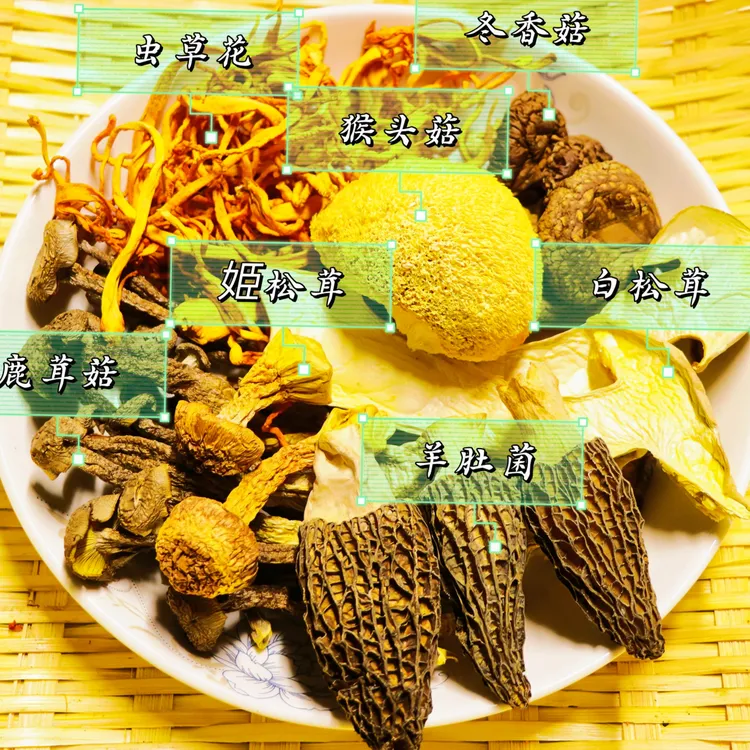 云南高山菌汤包羊肚菌鹿茸菇虫草花姬松茸白松茸猴头菇炖鸡鸭煲汤