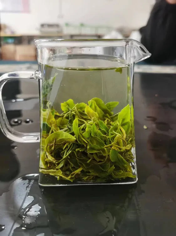 2025新品上市露天茶