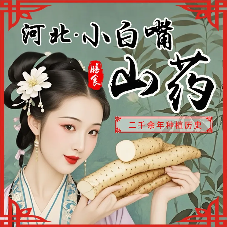 【产地直发】河北小白嘴山药新鲜采挖产地直发皮薄如纸口感软糯香甜