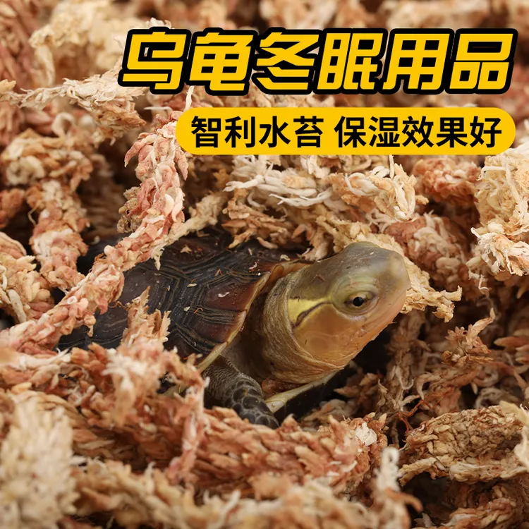 乌龟冬眠用品箱黄缘龟巴西龟苔藓半水龟垫材智利水苔爬宠过冬套装