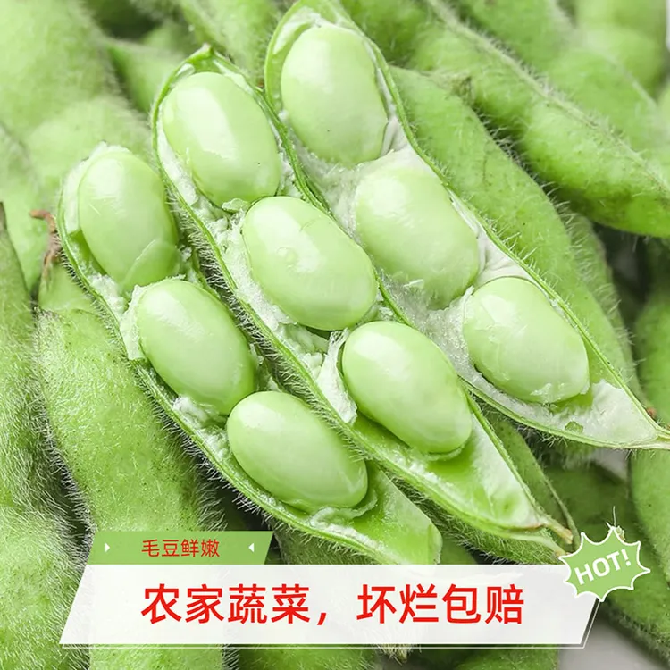 江西新鲜毛豆小毛豆带壳青豆嫩黄豆豆荚农家自种应季蔬菜
