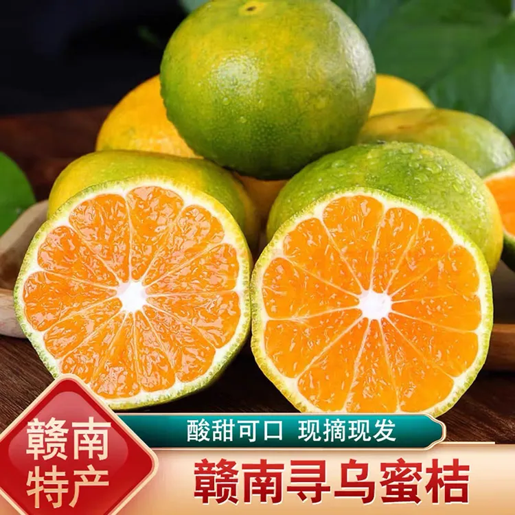 寻乌蜜桔当季青皮无籽橘子现摘现发晚熟蜜橘孕妇新鲜水果酸甜10斤
