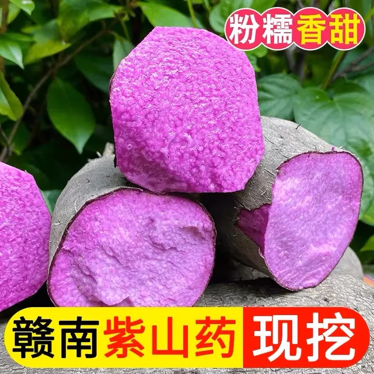 新鲜紫薯现挖5斤脚板薯大薯紫淮山3斤毛薯紫人参营养