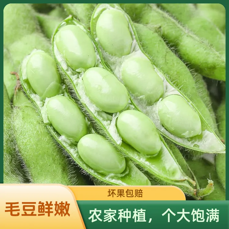 毛豆新鲜带壳青豆嫩黄豆豆荚生豆子江西农家自种应季时令蔬菜