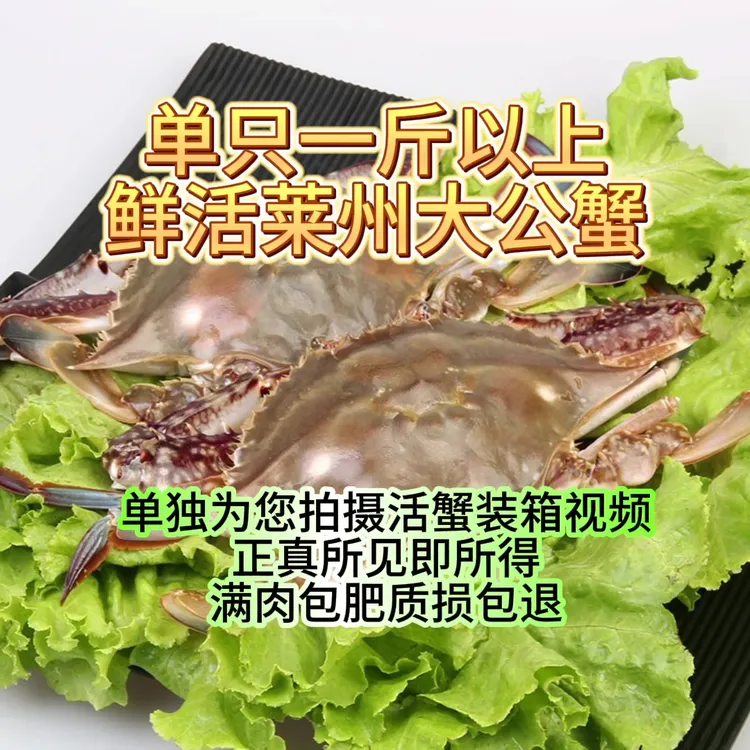 海捕莱州大公蟹（单只一斤以上）【保鲜不保活】总重斤两只数可选