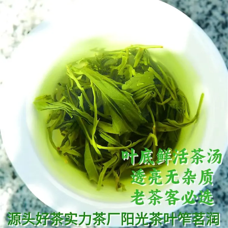 笮茗润新茶国胜茶特级毛峰浓香型天然兰花香栗香耐泡高山阳光茶叶