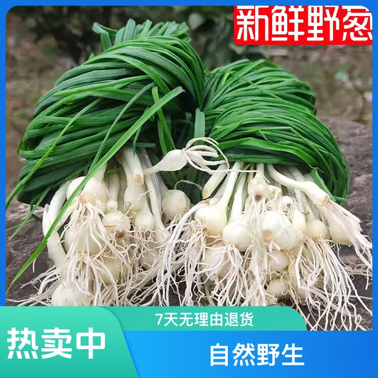 顺丰包邮贵州小苦蒜野葱贵州野葱炒腊肉炒鸡蛋【小根蒜】带泥发货