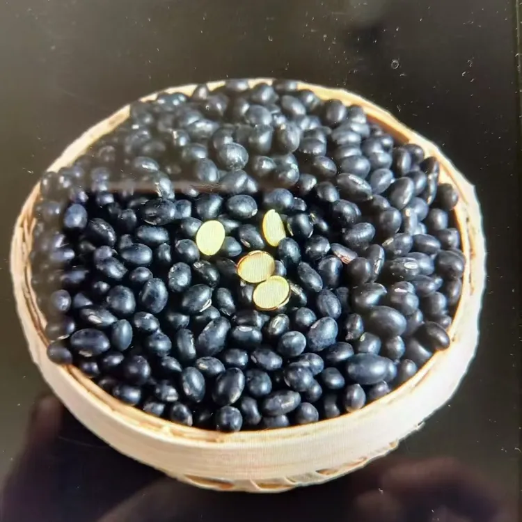 黄心黑豆农家自种