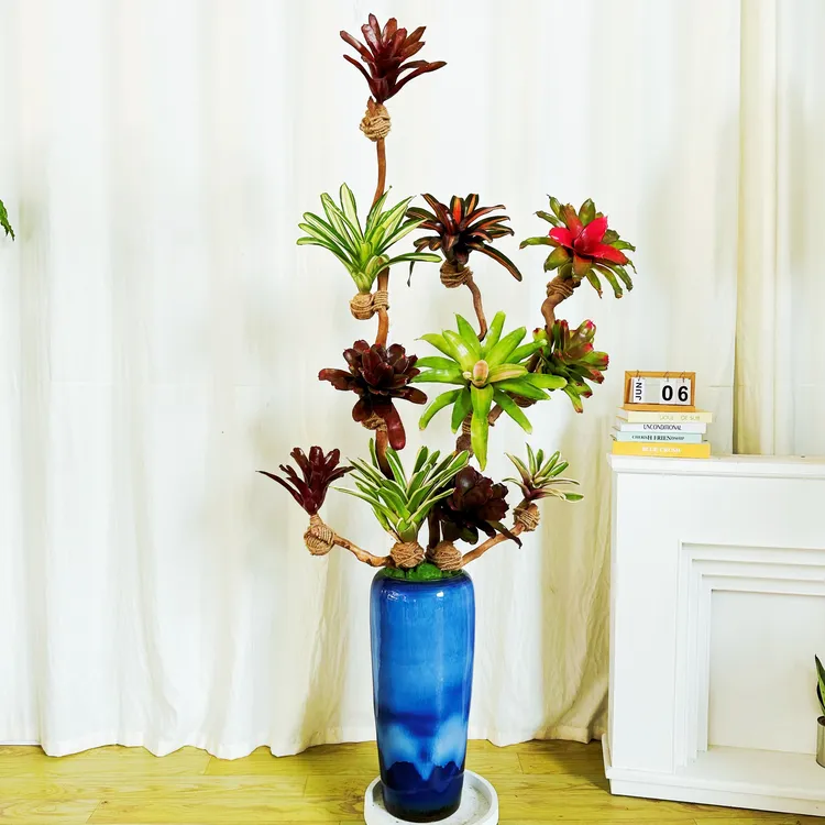 【积水凤梨】高端设计室内绿植电视机旁桌面款好养软装好物造景绿植